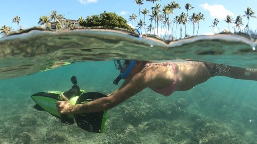 Snorkeling Kapalua Bay