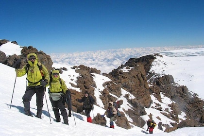 Kilimanjaro Climb • Marangu Route ~ 9 Day