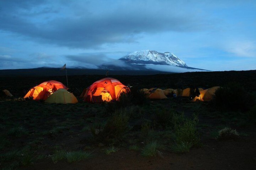 Kilimanjaro Climb | Signature Lemosho Route | ™Tusker Trail 12 Day Premium Tour