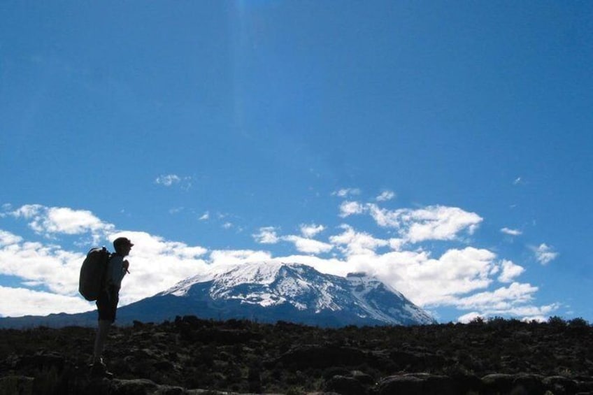 Kilimanjaro Climb | Signature Lemosho Route | ™Tusker Trail 12 Day Premium Tour