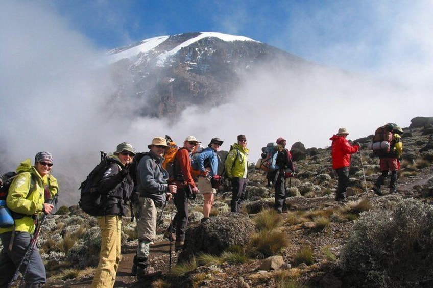 Kilimanjaro Climb | Signature Lemosho Route | ™Tusker Trail 12 Day Premium Tour