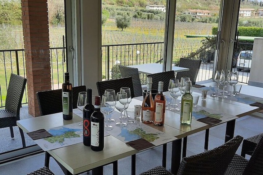 Bardolino Winery Tour and Tasting at Garda Lake in Italy