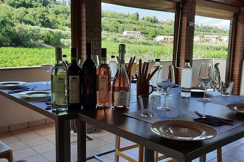 Bardolino Winery Tour and Tasting at Garda Lake in Italy