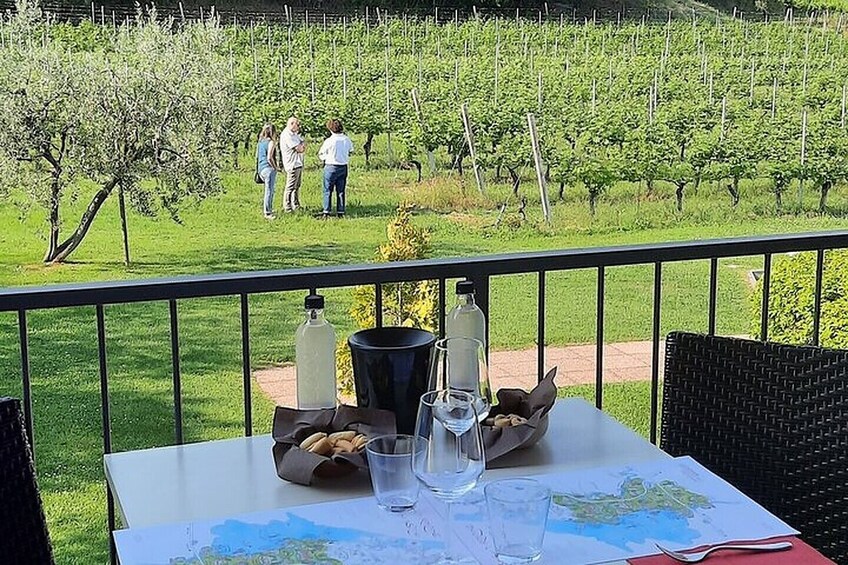 bardolino winery tour