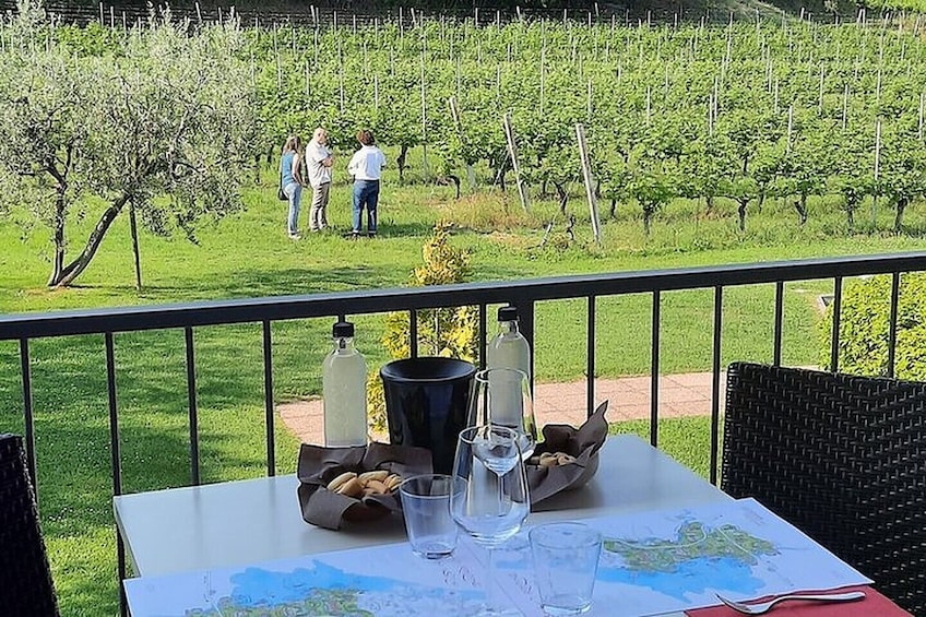 Bardolino Winery Tour and Tasting at Garda Lake in Italy
