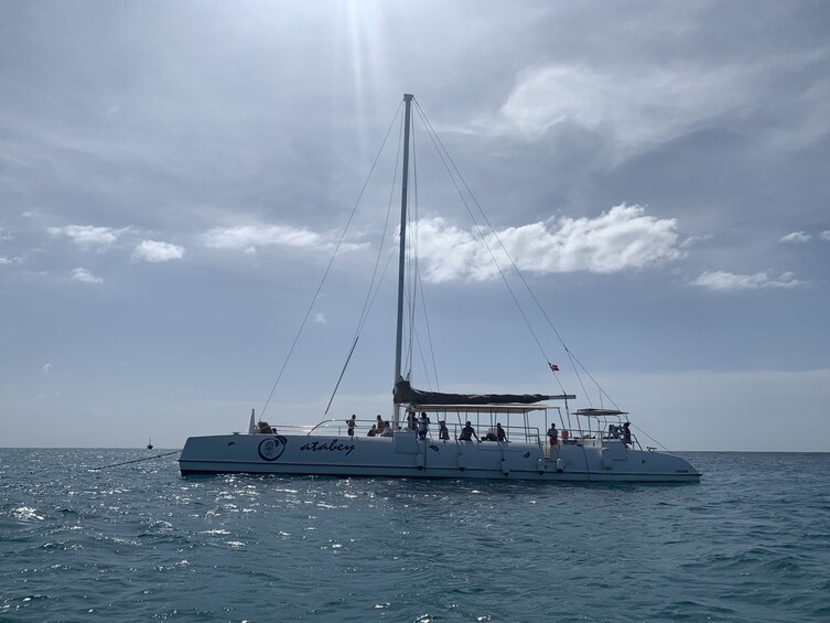 Catalina Island & Snorkelling Paradise