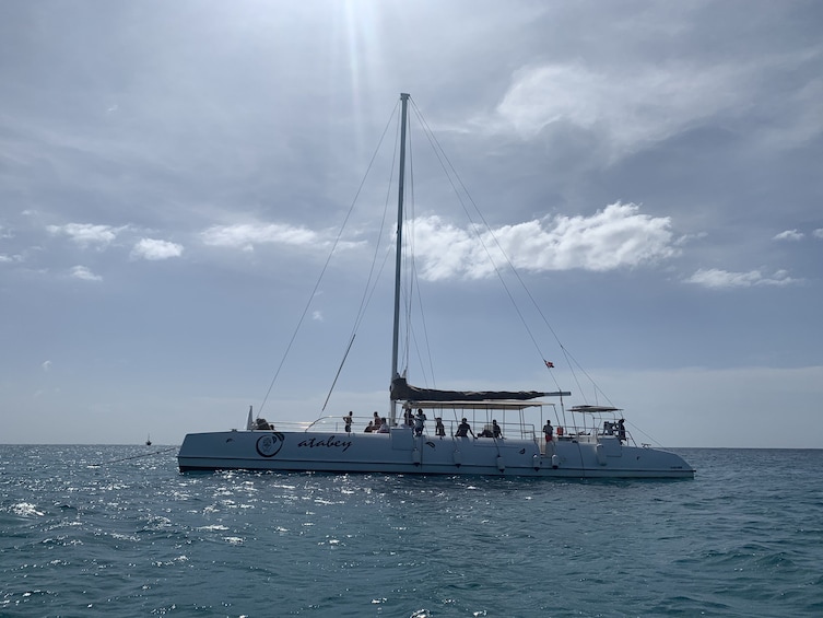 Catalina Island & Snorkelling Paradise