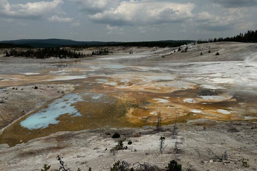 Yellowstone Open Air Tour(Glass Top/Convertible)West Yellowstone