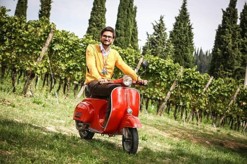 Wine Tasting with Panoramic View of Verona