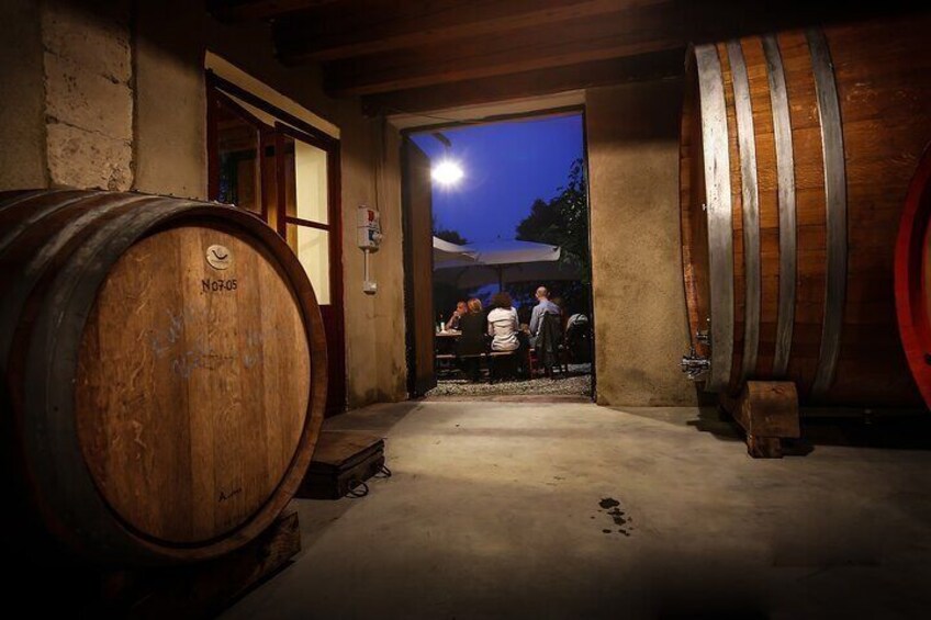 Wine Tasting with Panoramic View of Verona