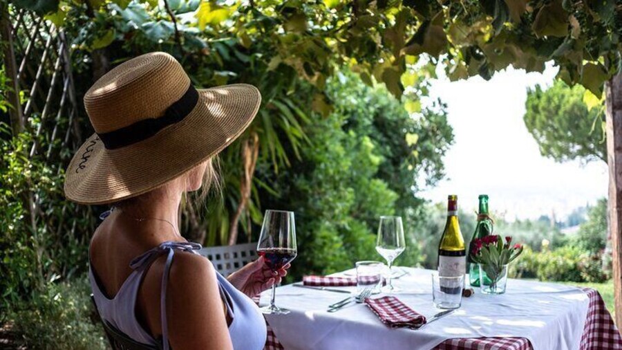 Wine Tasting with Panoramic View of Verona