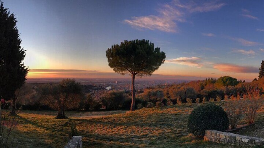 Wine Tasting with Panoramic View of Verona