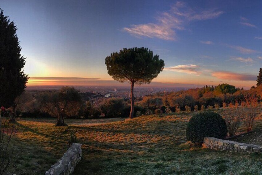 Wine Tasting with Panoramic View of Verona
