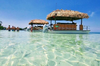 4-Hour Private Sand Bar Cruise on a Tiki Bar Boat in Key West