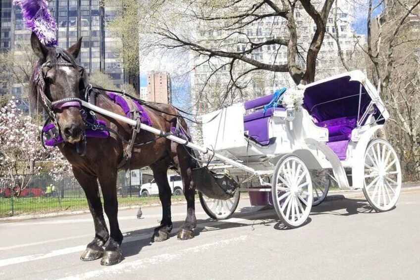 Premium NYC Central Park Horse Carriage Ride With 2 Photo Stops (45 min)