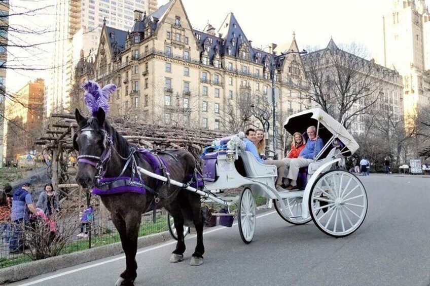 Central Park Horse Carriage Rides