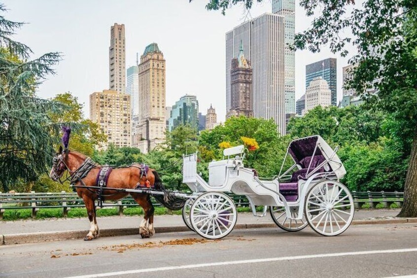 Private NYC Central Park Horse Carriage Ride (Guided) Since 1965™