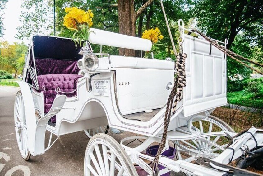 Private NYC Central Park Horse Carriage Ride (Guided) Since 1965™
