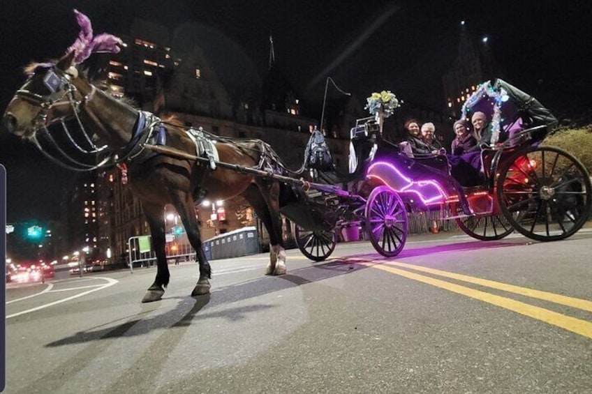 Premium NYC Central Park Horse Carriage Ride With 2 Photo Stops (45 min)