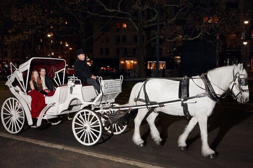 Private Horse and Carriage Ride in Central Park