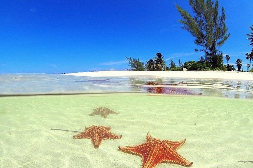 Stingray City snorkeling tour