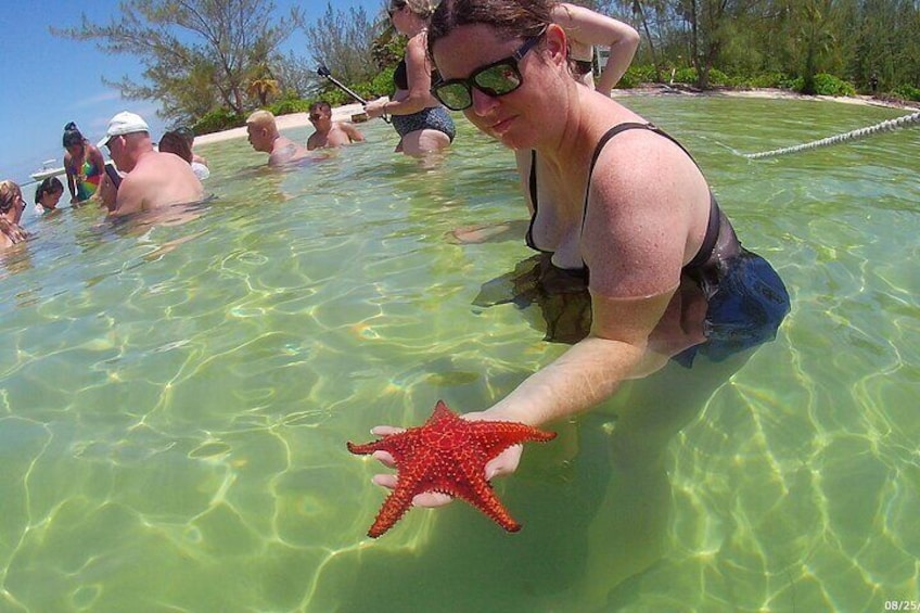 Lady holding Starfish in Grand Cayman after tour at Stingray City