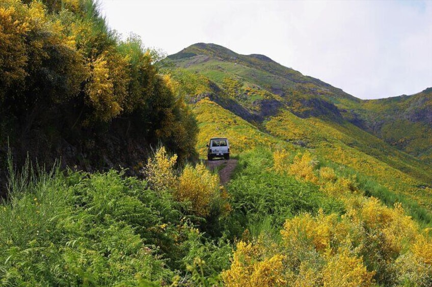 The amount of forest trails in this island is mindblowing. Let me take you where tourists seldom go!