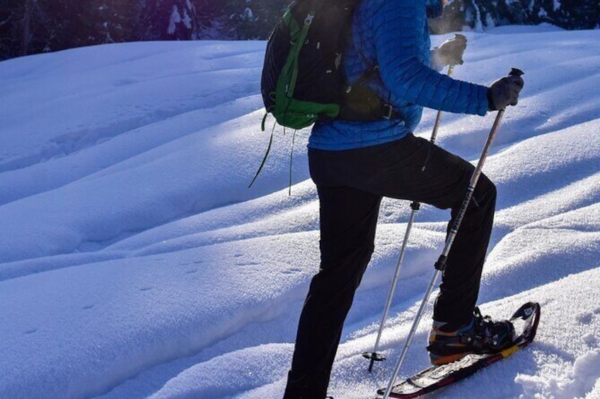 Show item 3 of 8. Winter Yellowstone Tour (With Optional Hike or Snowshoe)