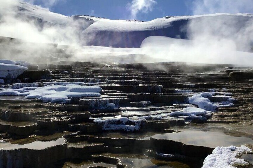 Winter Yellowstone Tour (With Optional Hike or Snowshoe)