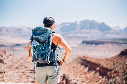 Zion Backcountry Off-road Hiking and Driving Tour Views & Petroglyphs