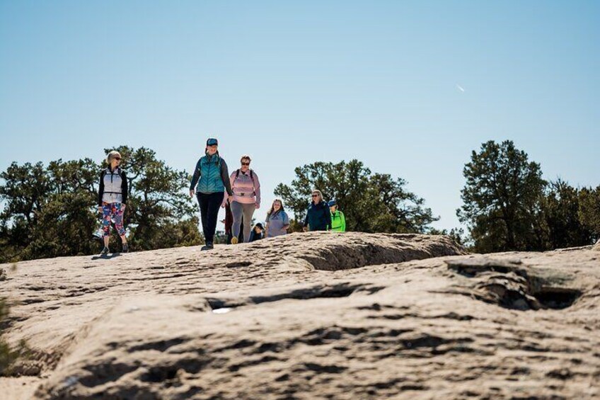 We offer hiking for all levels and abilities. We can also do driving tours if hiking isn't your thing. 