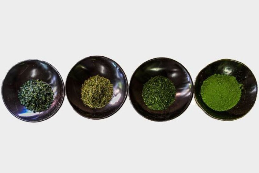 Tour a Tea Farm & Taste 2 Kinds of Matcha in Nishio, Aichi