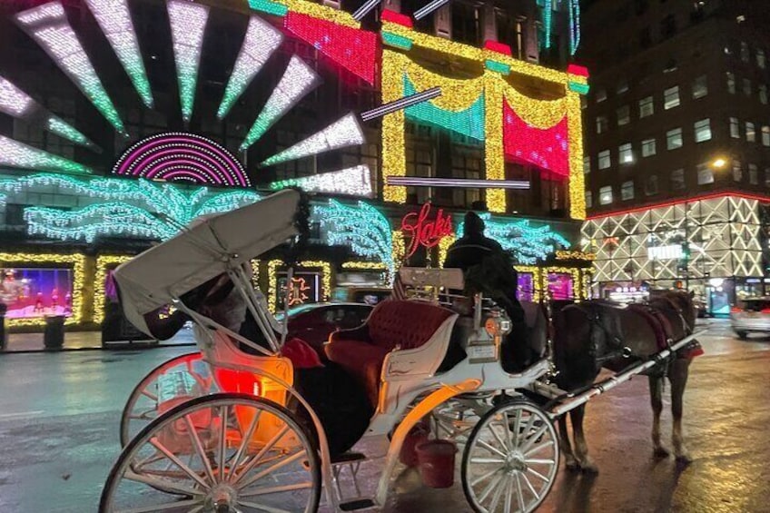 Private NYC Christmas Lights Horse Carriage Ride
