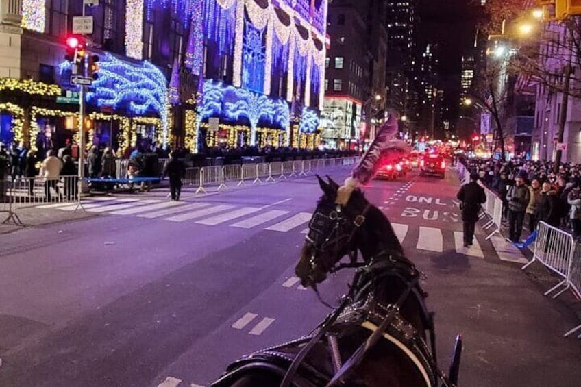 Private NYC Christmas Lights Horse Carriage Ride