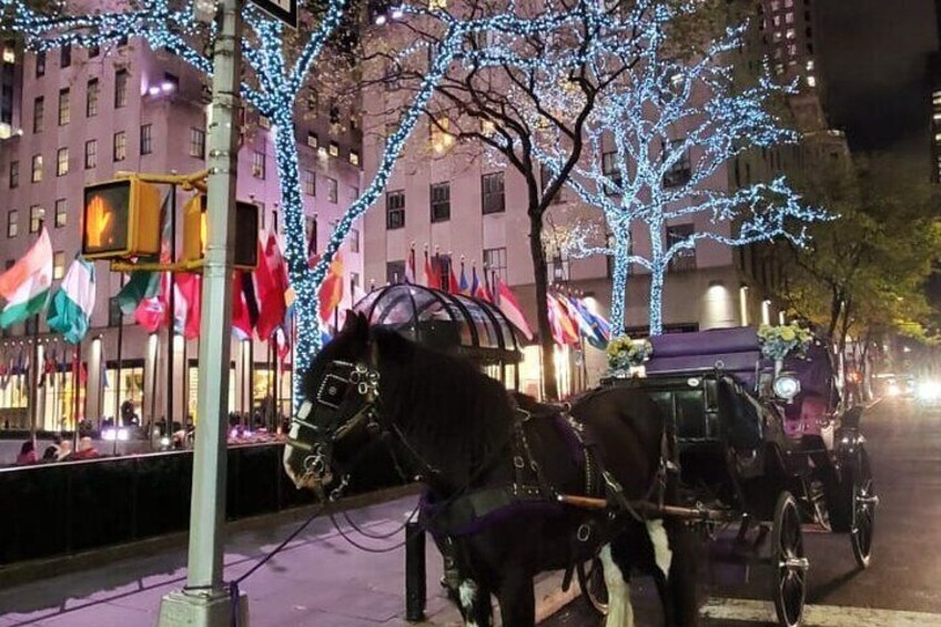 Private NYC Christmas Lights Horse Carriage Ride