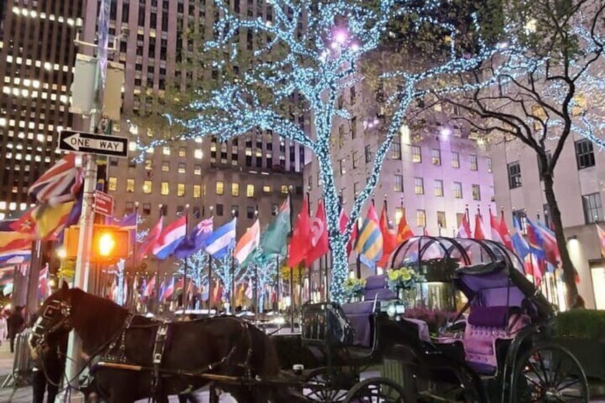 Private NYC Christmas Lights Horse Carriage Ride