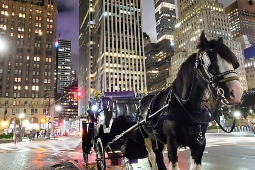 Private NYC Christmas Lights Horse Carriage Ride