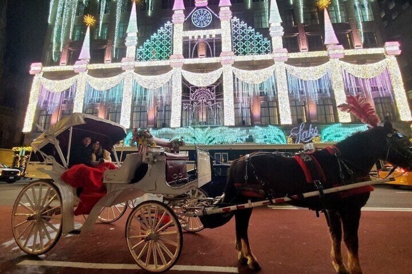 Private NYC Christmas Lights Horse Carriage Ride 