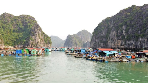 Crucero de día completo por la bahía de Ha Long (tour en grupo)