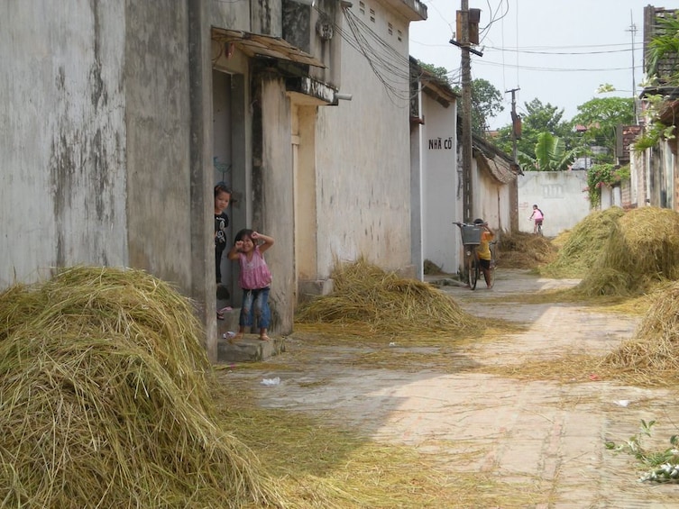 Full-Day Suburban Hanoi Bike Tour