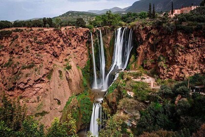 Ouzoud Waterfalls Tour From Marrakech In Group