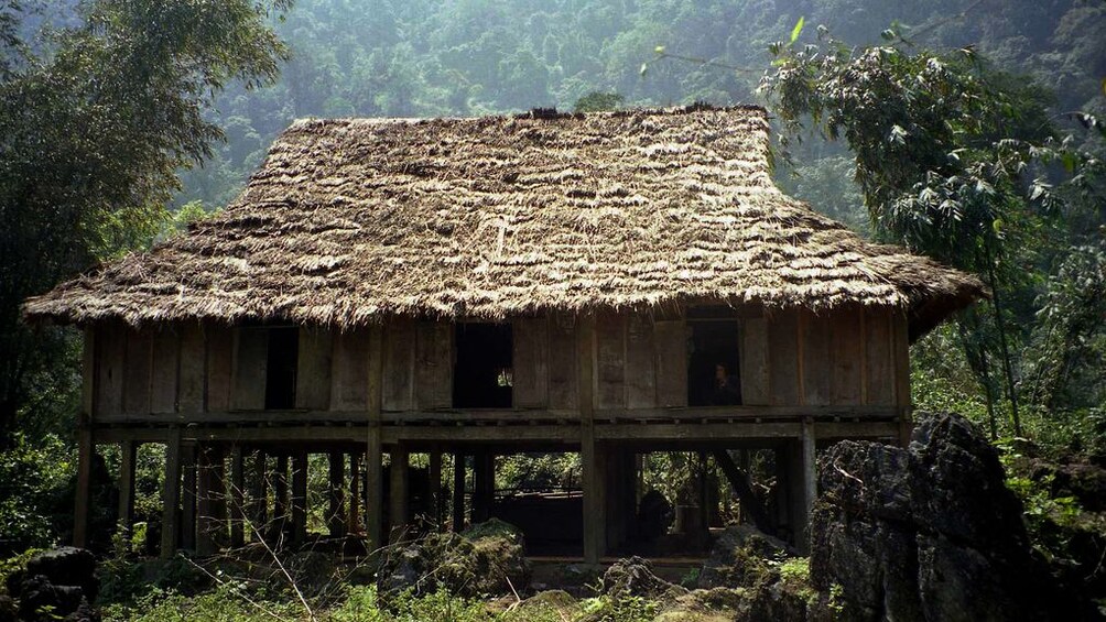 A Vietnamese house on stilts in the jungle