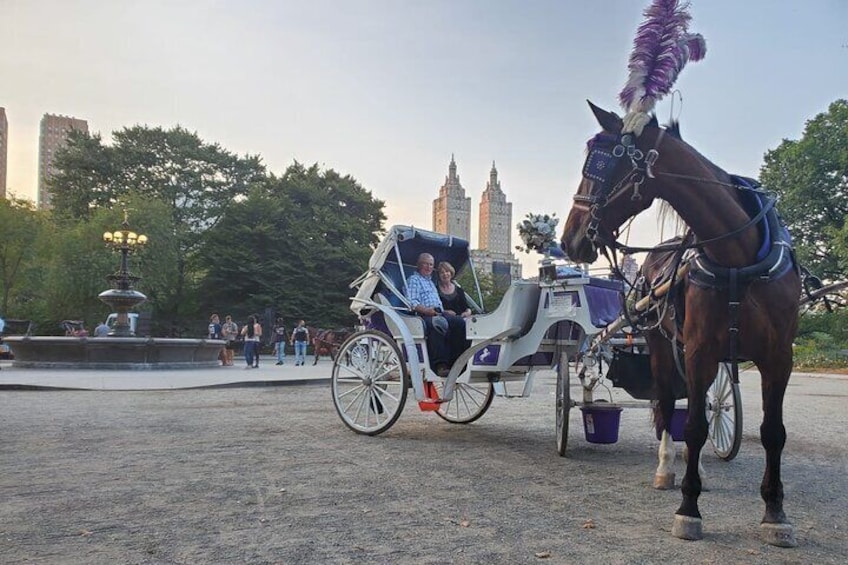 Private New York City Central Park Horse Carriage Ride (55 min)