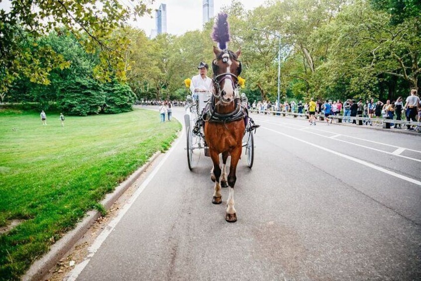 Official Private New York City Central Park Horse Carriage Ride Since 1965™