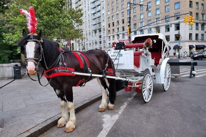 Private New York City Central Park Horse Carriage Ride (55 min)