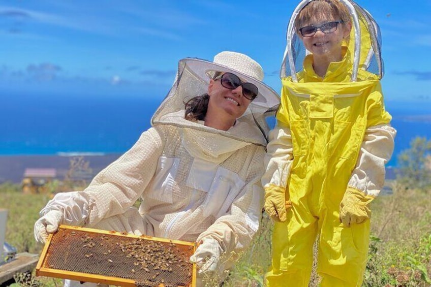 Learn about honeybees including pollination, how honey is made, all about the queen bee and much more!