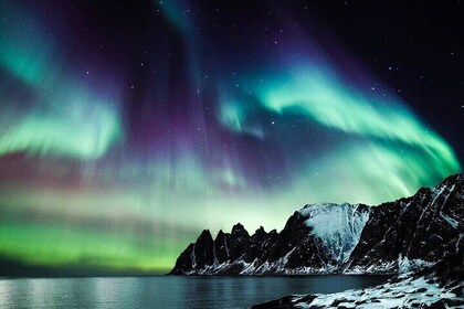 Private Iceland Aurora Hunting and Photography Tour from Hofn