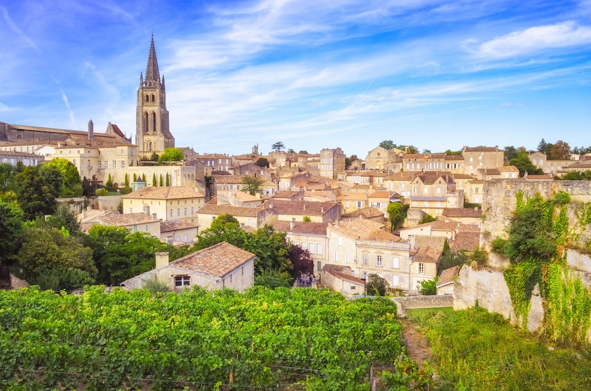 Grand Cru Château & Saint-Emilion Visit From Bordeaux