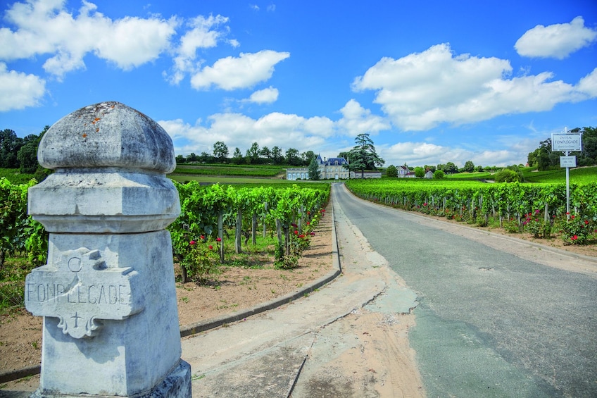 Grand Cru Château & Saint-Emilion Visit From Bordeaux 