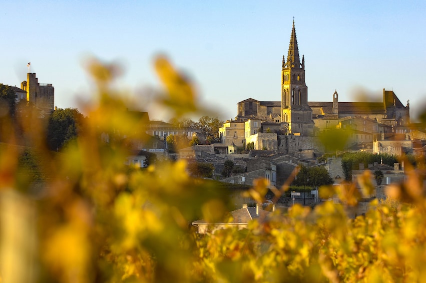 Saint Emilion Full-Day Wine Tour From Bordeaux